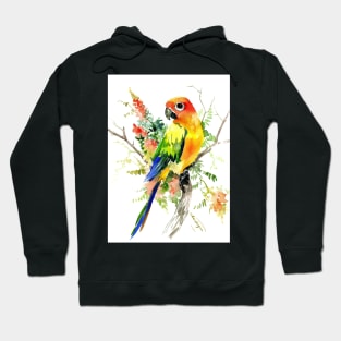 Sun Conure Parakeet Hoodie